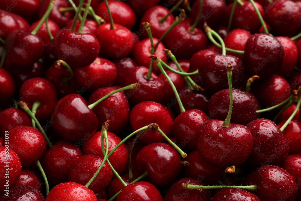 Many sweet cherries with water drops as background, closeup Many sweet cherries with water drops as background, closeup