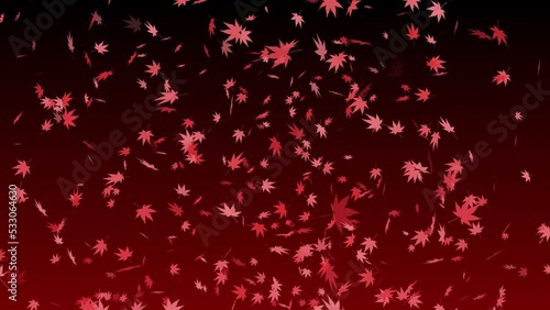 紅葉 舞い上がる 落ち葉 もみじ・カエデ 【背景 グラデーション 黒赤】