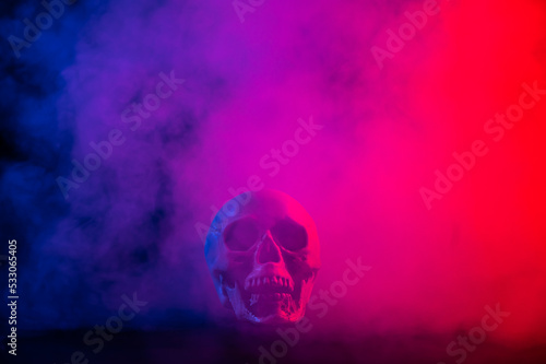 Fototapeta Naklejka Na Ścianę i Meble -  Human skull in pink and blue smoke on a black background. Halloween.