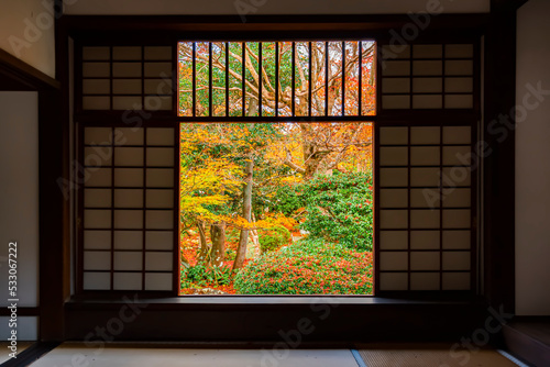 Scenic colorful maple trees in the garden of Kyoto temple in autumn, Kyoto, Japan photo
