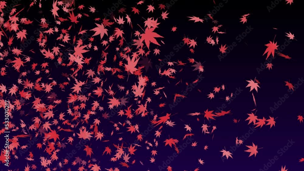 紅葉 舞い上がる 落ち葉 もみじ・カエデ 左 旋風 【背景 グラデーション 黒紫】 紅葉 舞い上がる 落ち葉 もみじ・カエデ 左 旋風 【背景 グラデーション 黒紫】