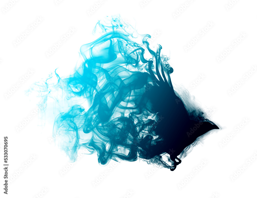 Fototapeta premium Silhouette of a flying raven with spread wings in puffs of smoke with a beautiful gradient isolated on a white background. Silhouette of a flying raven in clouds of smoke.