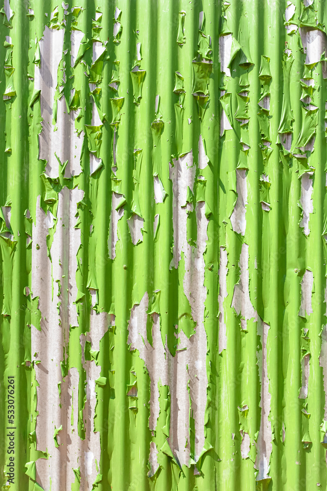 Obraz premium Green wall paint, gliding.