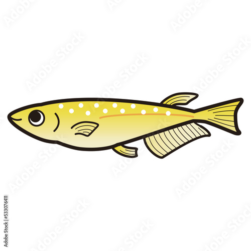 メダカのイラスト
