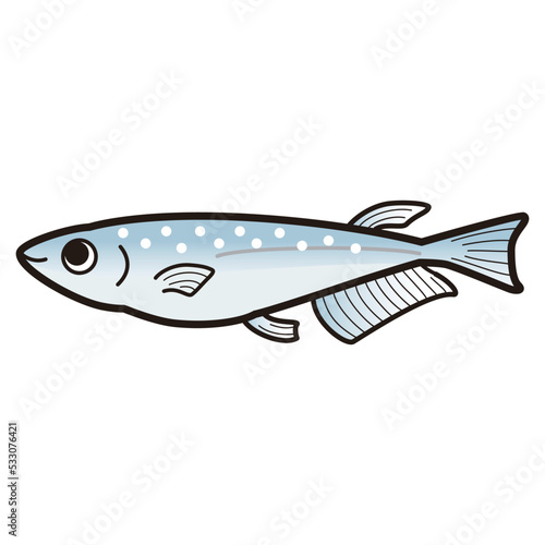 メダカのイラスト