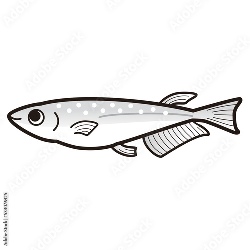メダカのイラスト