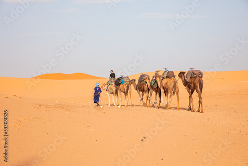 Camel caravan in the desert at sunrise -  Sahara, Morrocco © muratart