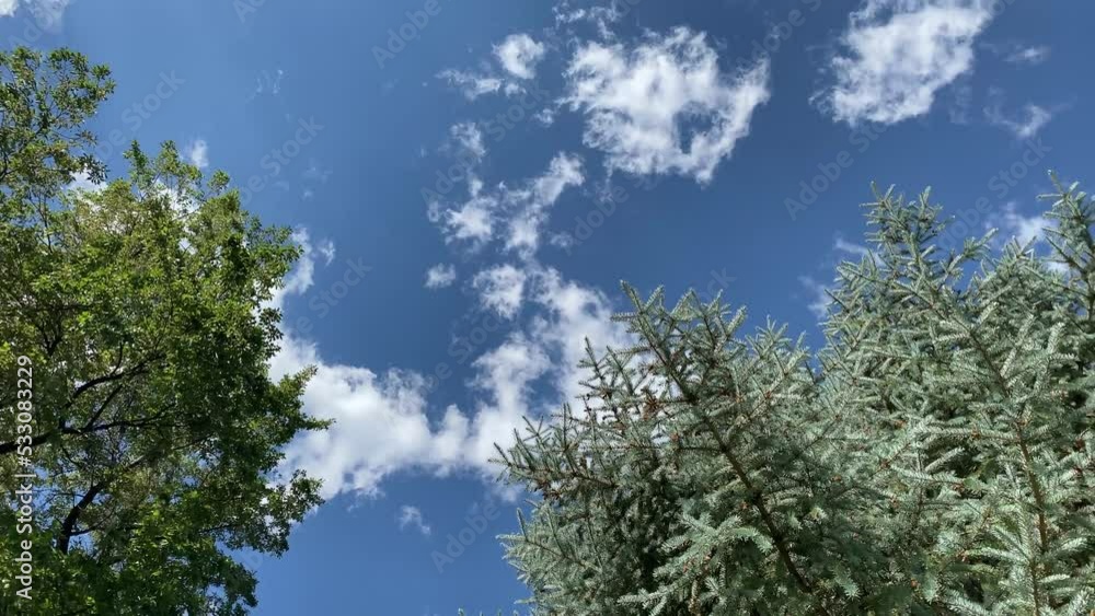 motion breeze nature trees blowing weather field blue sky windy sunny day spring wind video foliage backyard backdrop clouds breezy background motion breeze nature trees blowing weather field blue sky windy sunny day spring wind video foliage backyard backdrop clouds breezy background