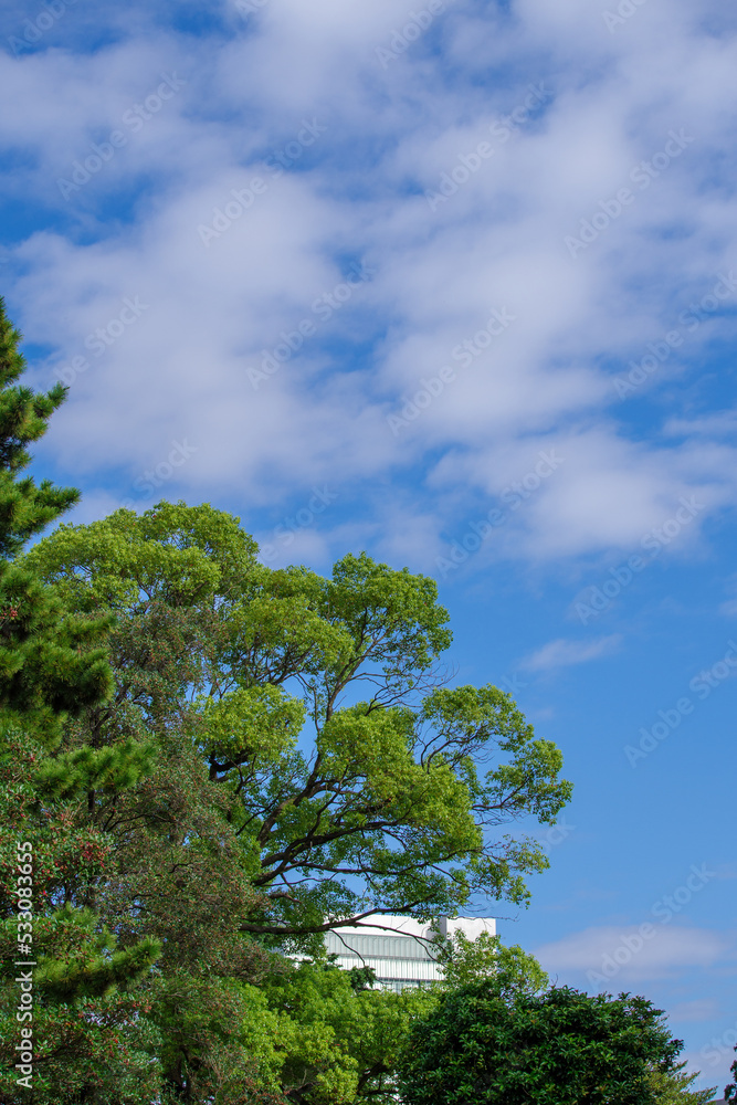 Obraz premium 青空と雲と緑