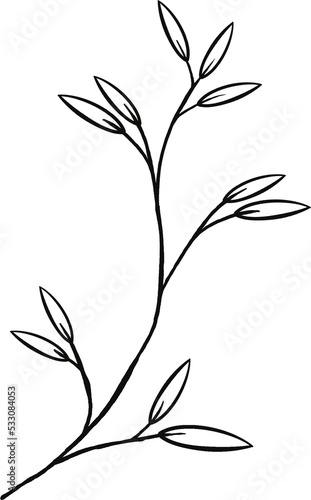 Fototapeta Naklejka Na Ścianę i Meble -  leaf hand drawn