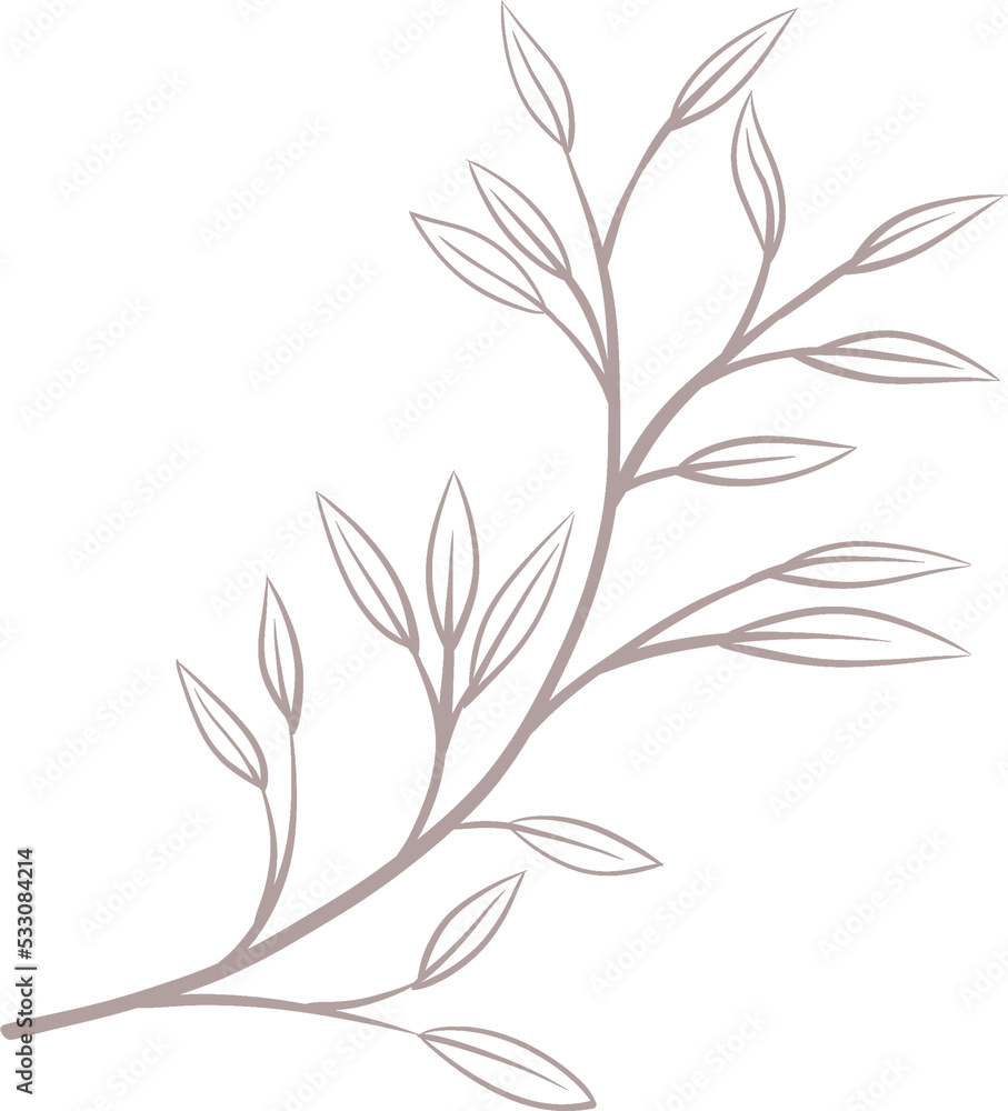 leaf hand drawn leaf hand drawn