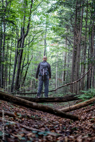A mountaineer (hiker) (not recognizable) with a backpack is standing on an old fallen tree in the forest