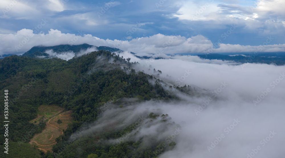 aerial view scenery sunrise above the mountain in tropical rainforest..slow floating fog blowing cover on the mountain look like as a sea of mist. .beautiful sunrise in the mist background.