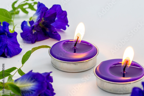 herbal candle aromatherapy extract purple flowers butterfly pea for health care arrangement flat lay style on background white 