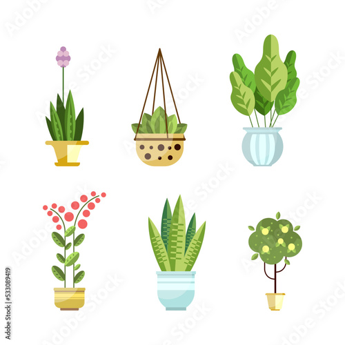 Home plants in flower pots set. Trendy hygge style decor cartoon vector illustration