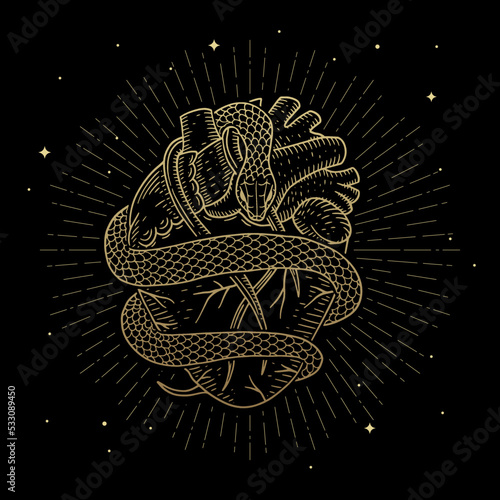 The heart wrapped by the golden magical snake