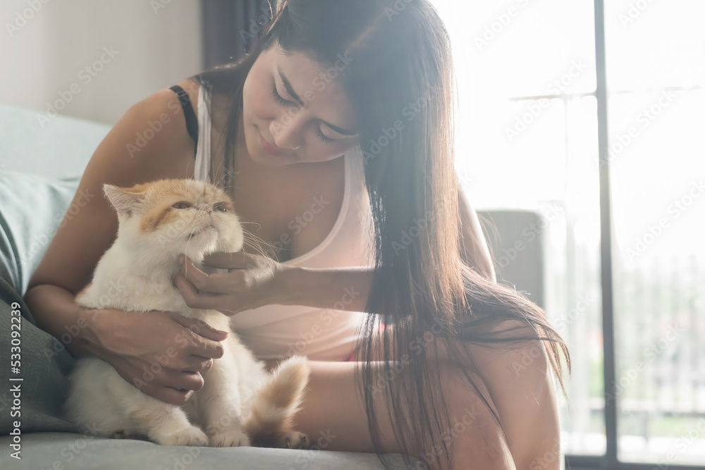 Smiling Asian woman play with yellow exotic shorthair cat on sofa Smiling Asian woman play with yellow exotic shorthair cat on sofa