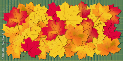 Bright autumn leaves on a warm plaid plaid