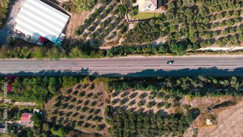 Wallpaper Mural Aerial View Of Olive fields and highway, Crete, Greece Torontodigital.ca