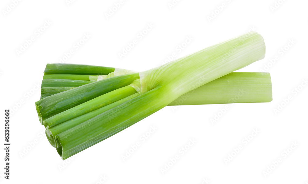 Japanese bunching onion on transparent png Japanese bunching onion on transparent png