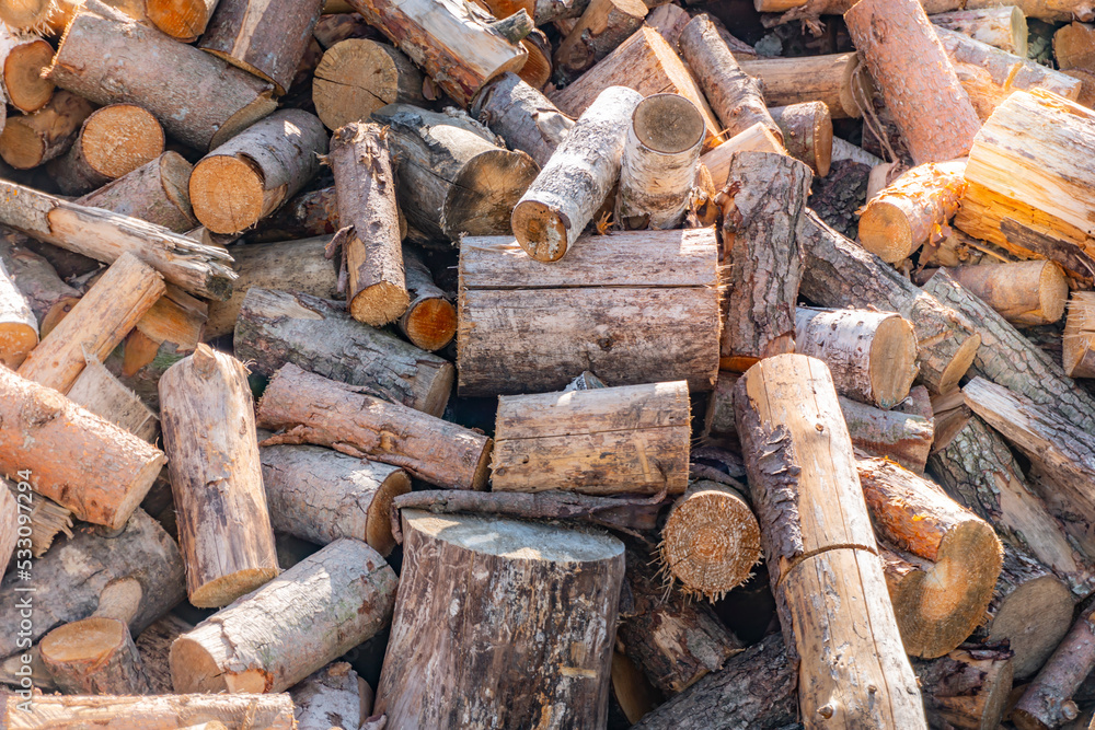 A large pile of sawn firewood background, a sawn tree, preparation of firewood for the winter, firewood for the lumberjack wint sun rays A large pile of sawn firewood background, a sawn tree, preparation of firewood for the winter, firewood for the lumberjack wint sun rays