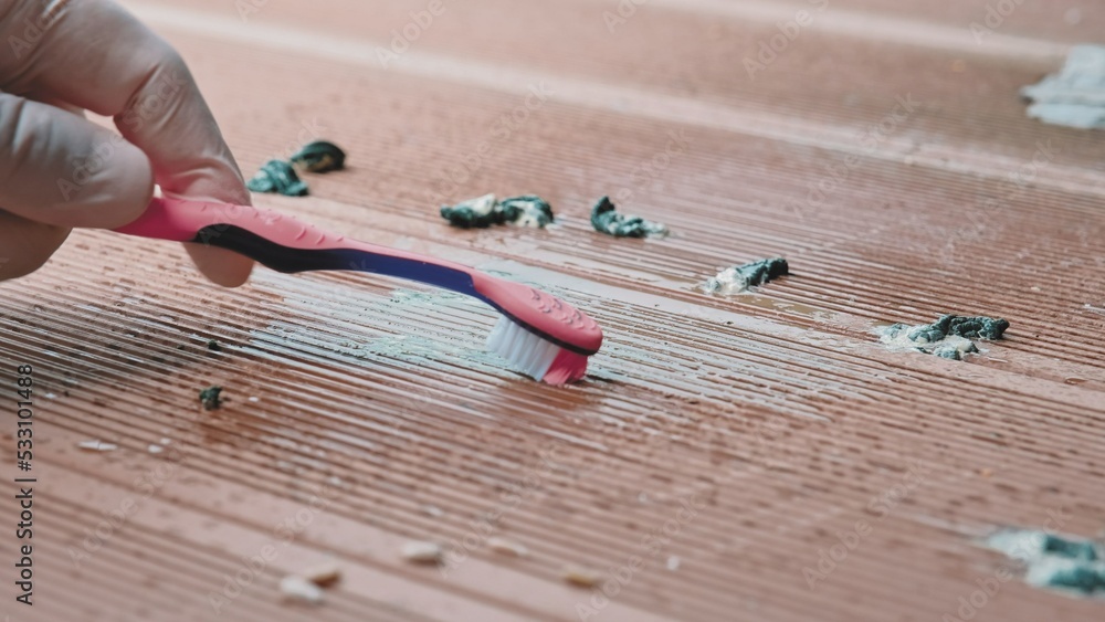 Person Wearing Protective Latex Gloves Cleaning Bird Poop Droppings