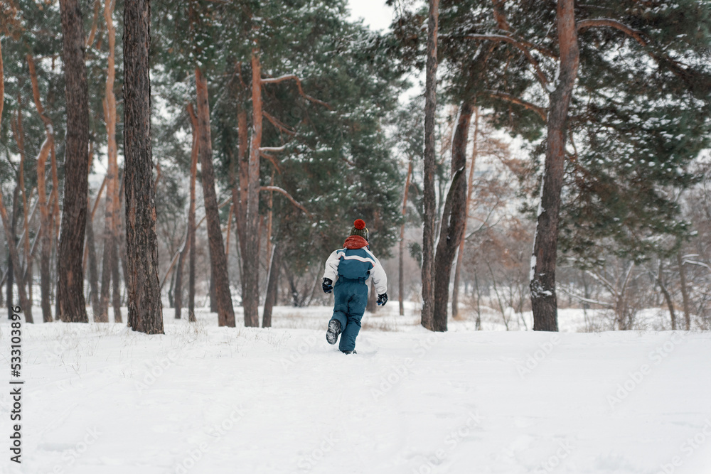 Child runs towards big snow fir trees. Boy plays outdoors in winter forest. Back view