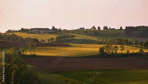 evening fields in the hills
