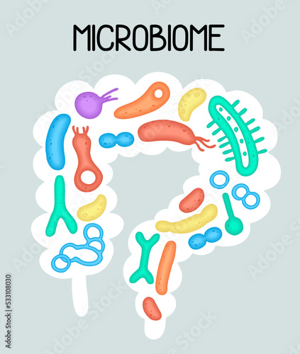 Human microbiome illustration with intestines and bacteria Vector picture. Gastroenterologist. Bifidobacteria, lactobacilli. Lactic acid bacteria.