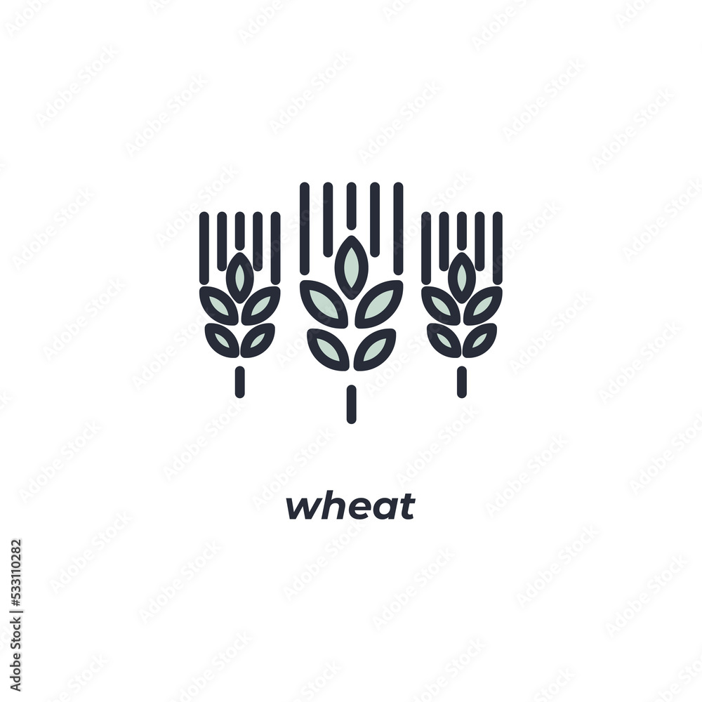 Vector sign wheat symbol is isolated on a white background. icon color editable.