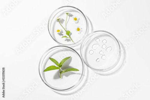 Petri dishes with different plants and cosmetic product on white background, top view