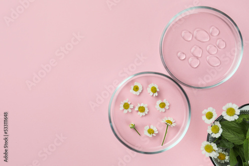 Petri dishes with chamomile flowers and cosmetic product on pink background, flat lay. Space for text