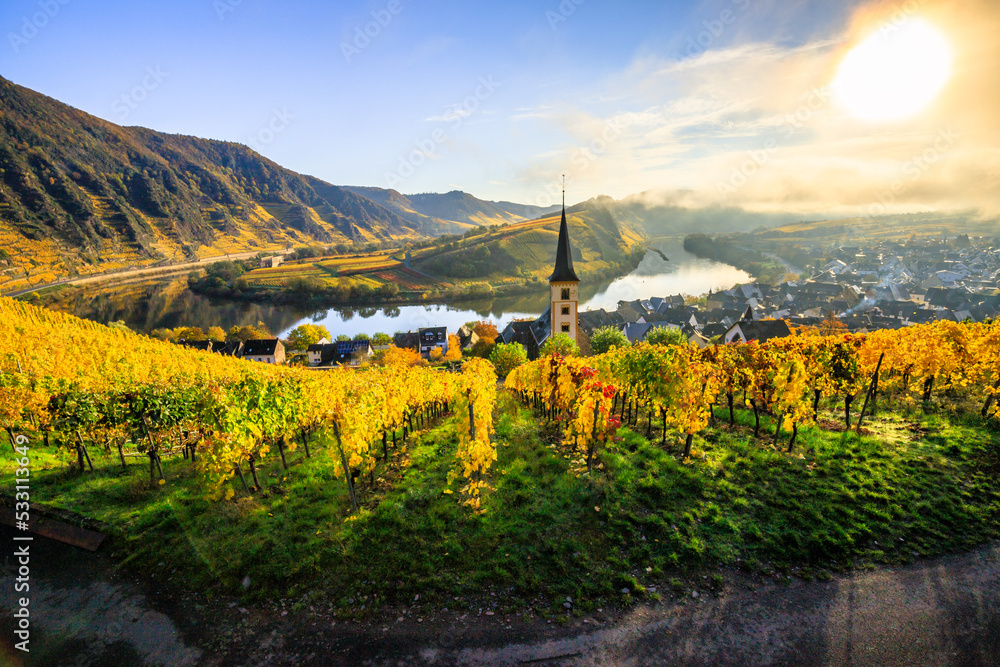 The Moselle loop in autumn, a beautiful river in Germany, makes a 180 degree loop. with vineyards and a great landscape and lighting in the morning. a golden autumn - obrazy, fototapety, plakaty 