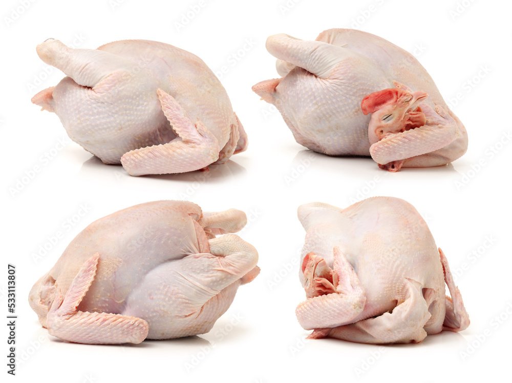 raw hen on a white background
