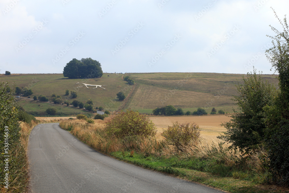 Obraz premium distant view of the Hackpen white horse.