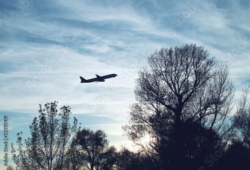 Silueta de un avión sobre la silueta de los árboles al atardecer. Silueta  de un avión de pasajeros despegando desde el aeropuerto Adolfo Suarez Madrid Barajas en España con los últimos rayos de sol. photo