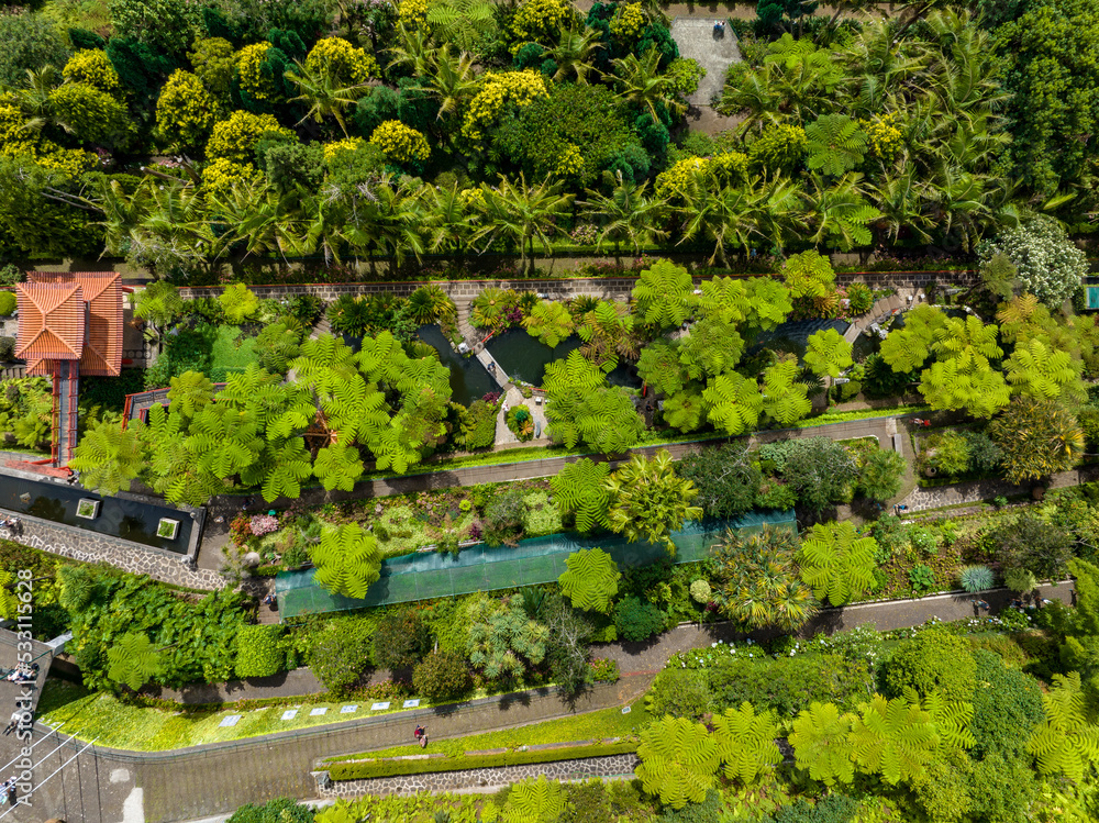 Funchal Green Gardens Aerial View. Funchal is the Capital and Largest City of Madeira Island in Portugal. Europe.