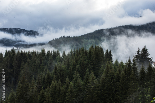 Wald