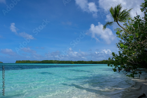A stunning seascape with palm trees overlooking crystal clear turquoise ocean water on the remote tropical island paradise of Pohnpei  Federated States of Micronesia FSM