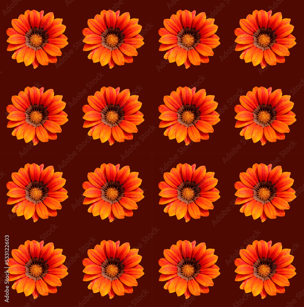 Floral greeting card design Floral greeting card design