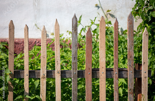 Old wooden boards on the fence as an abstract background.