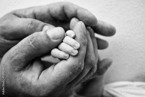 The hand of a sleeping newborn in the hand of parents, mother and father close-up. Tiny fingers of a newborn. The family is holding hands. Black and white macro photography Concepts of family and love
