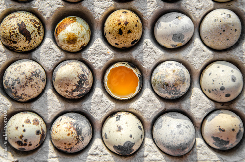 Quail eggs in a cardboard box close-up, texture. eco-friendly egg tray. One egg is broken.