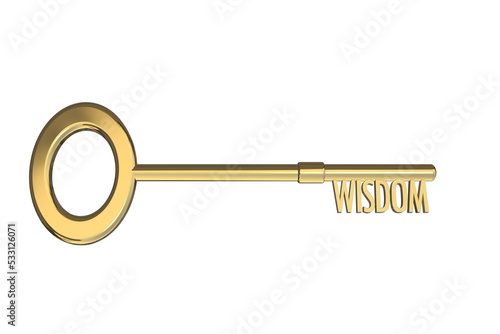 key to wisdom concept education concept knowledge learning wisdom text 3D key cut out isolated on white background