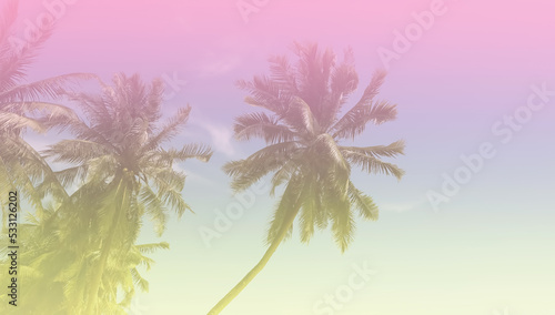 The banner of Summer colorful theme with palm trees background as texture frame image background © SASITHORN