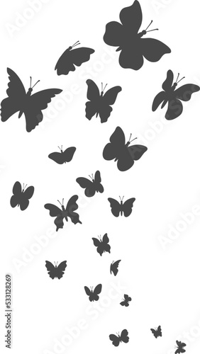 vector butterfly flight illustration © FreeSoulProduction