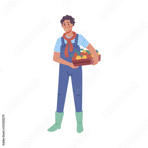 Farmer with harvested apples, isolated male character holding box with ripe fruits. Farming and agricultural business, working in garden. Vector in flat cartoon style