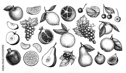 Fruits big collection.