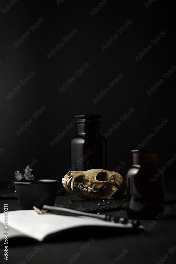 Dark mood still life. real fox skull, calligraphy pen, aopthecary bottle, black wood table. Gothic witch moody background.