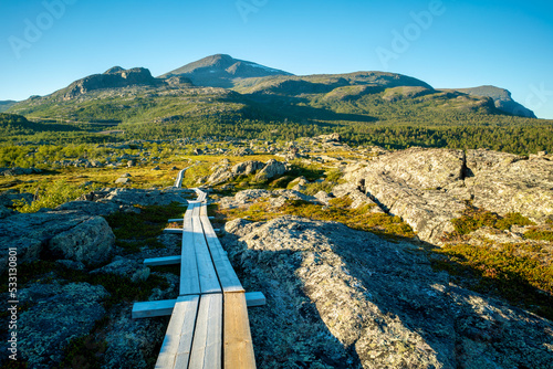 Wooden walk leading across marshlands to Nieras massive in the Stora Sjofallet National Park, Sweden. Golden hour in Swedish Arctic on a beautiful sunny day of summer. Hiking in Lapland. photo